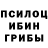 Псилоцибиновые грибы мухоморы Aa Be
