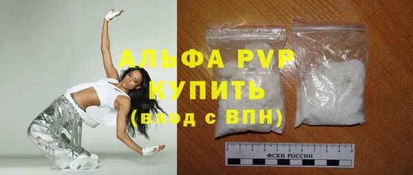 сатива Арсеньев