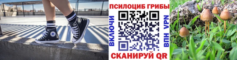 Галлюциногенные грибы ЛСД Пермь
