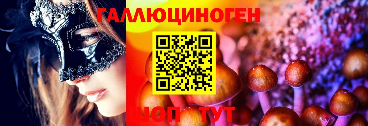 Псилоцибиновые грибы Psilocybine cubensis Пермь