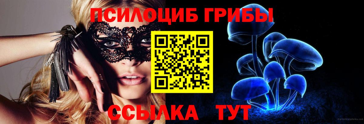 Пермь  Псилоцибиновые грибы MAGIC MUSHROOMS  Вход с VPN 